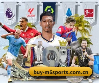 m6体育app下载 APP 界面