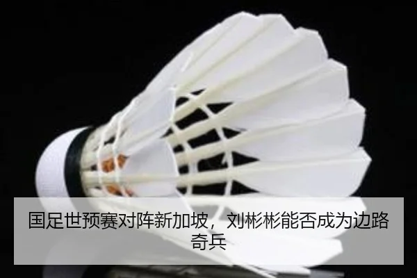 国足世预赛对阵新加坡，刘彬彬能否成为边路奇兵